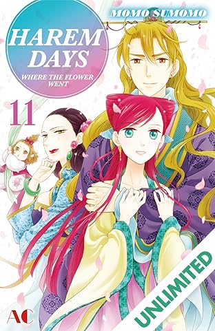 HAREM DAYS THE SEVEN-STARRED COUNTRY Vol. 11